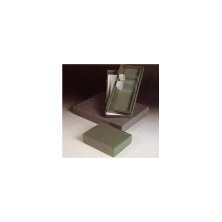 Archiv box (pre 25 sklíčok)